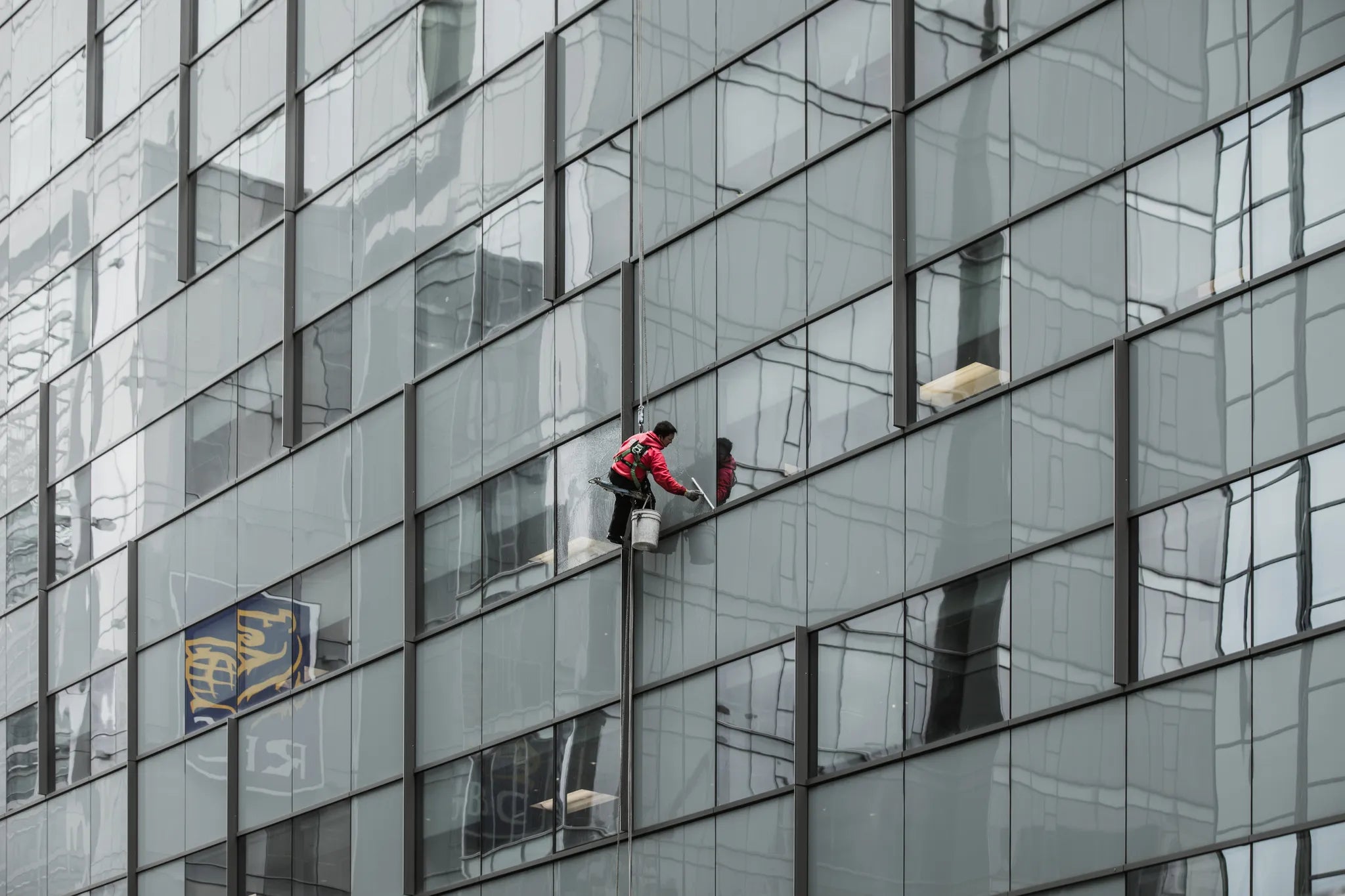 OptiWipe Fensterwischer Wischergummis Ersatzlippen für Profis
